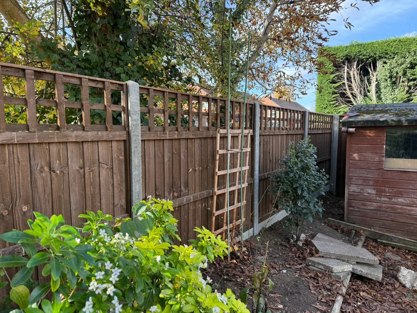 Trellis topped fence panels fitted in a Surrey garden
