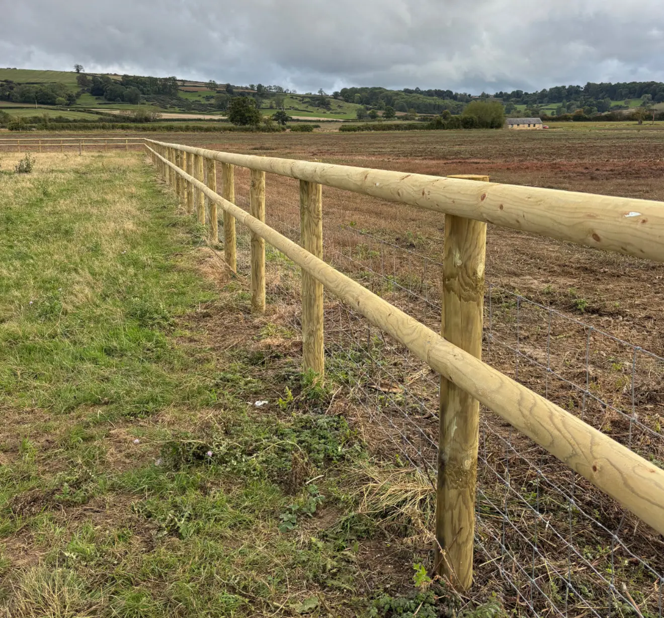 Stock fencing installed on a rural property near Cranleigh