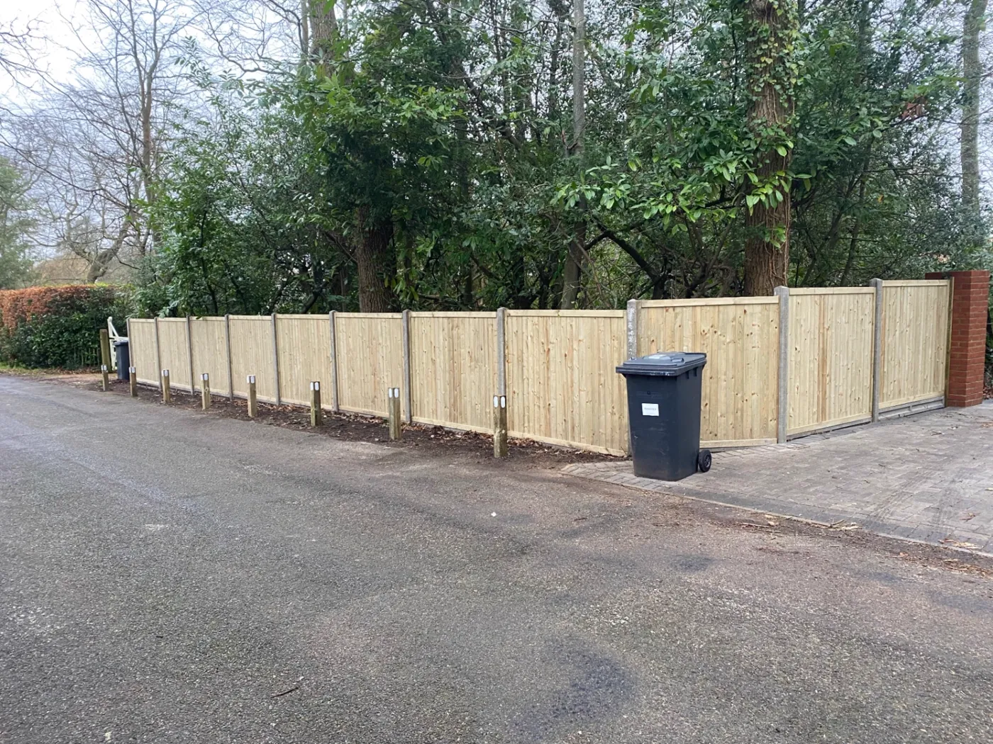 Long run of new feather edge fencing installed along a driveway boundary in Surrey