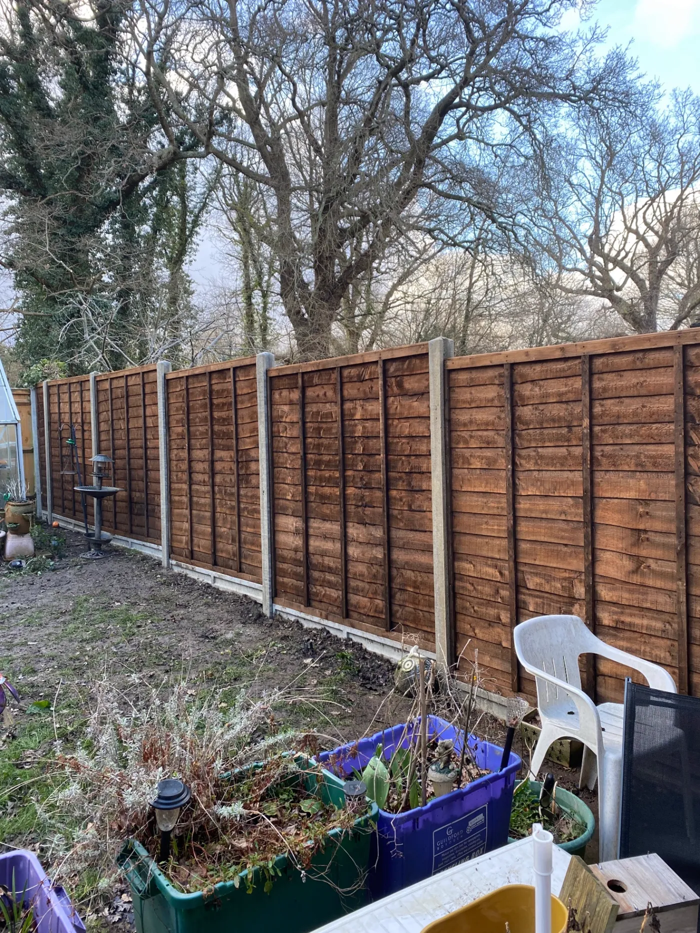 Lap garden fence panels replaced behind a Surrey garden